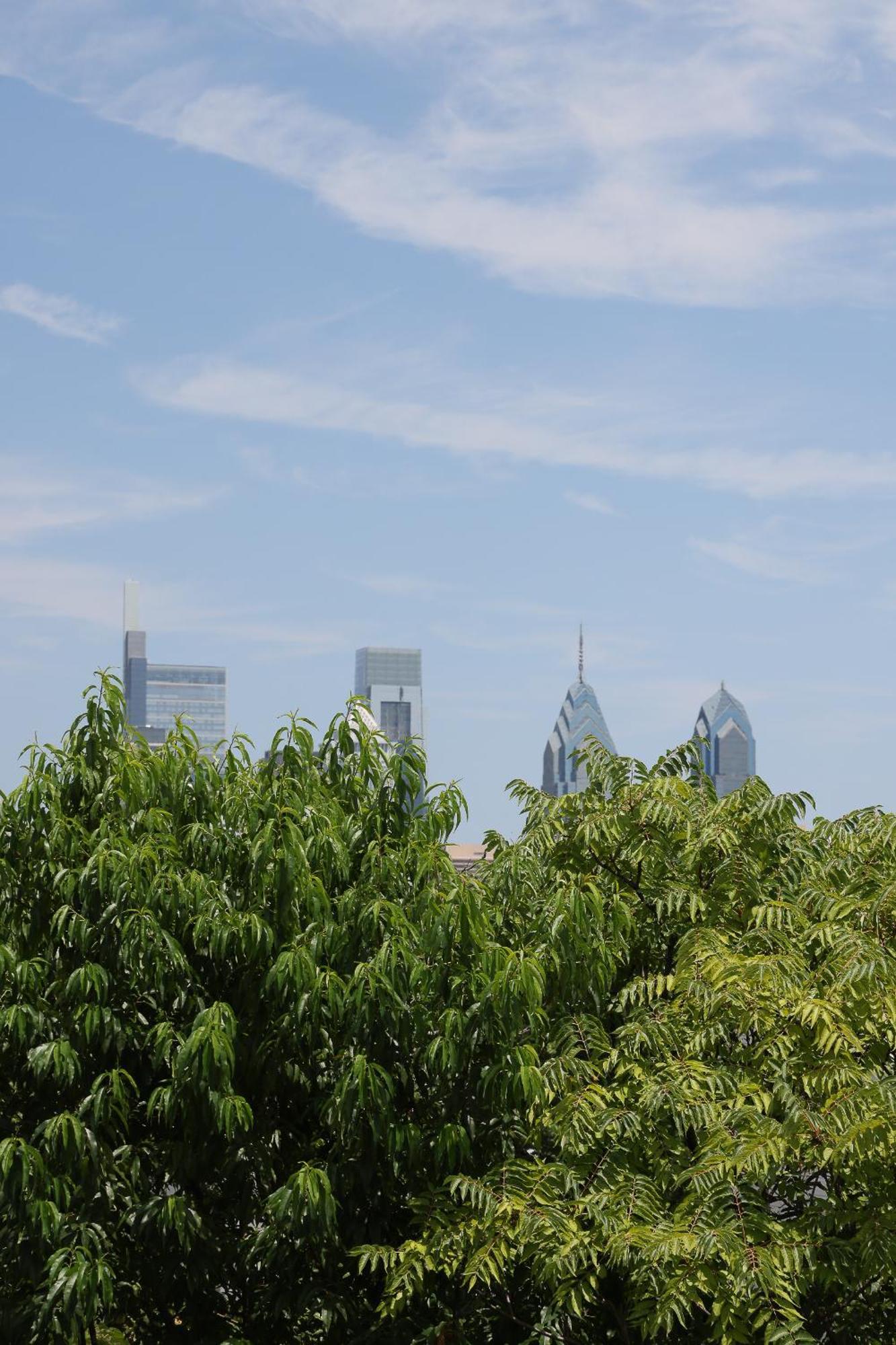 Peaceful Zen Getaway In The City Filadelfia Exterior foto
